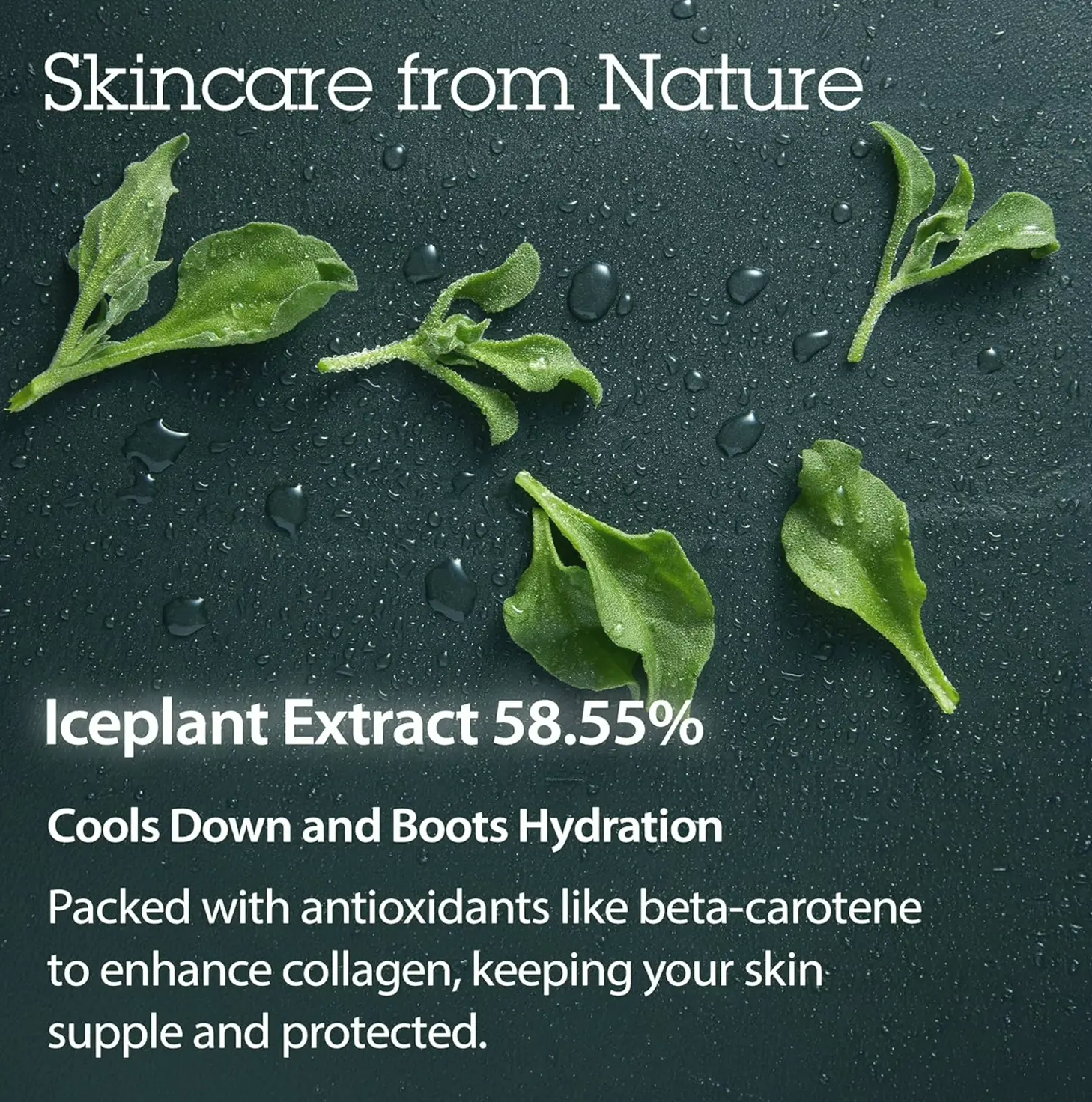BLITHE Hydrating Moisturizer Crystal Iceplant Face Moisturizer - Top Kbeauty Product