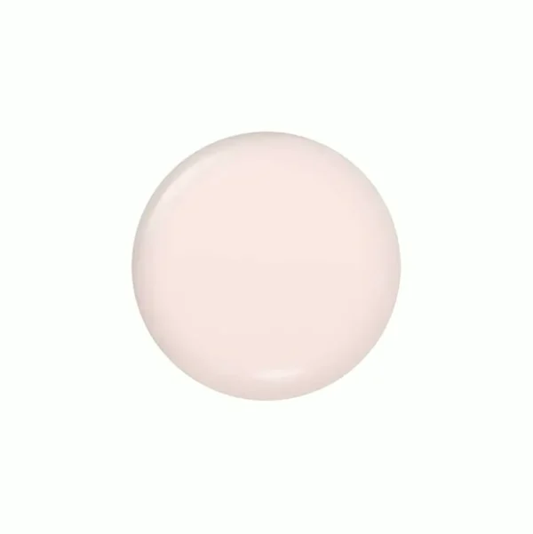 Shine Dry Compact Kit 4-Step System - Elegant Dancer