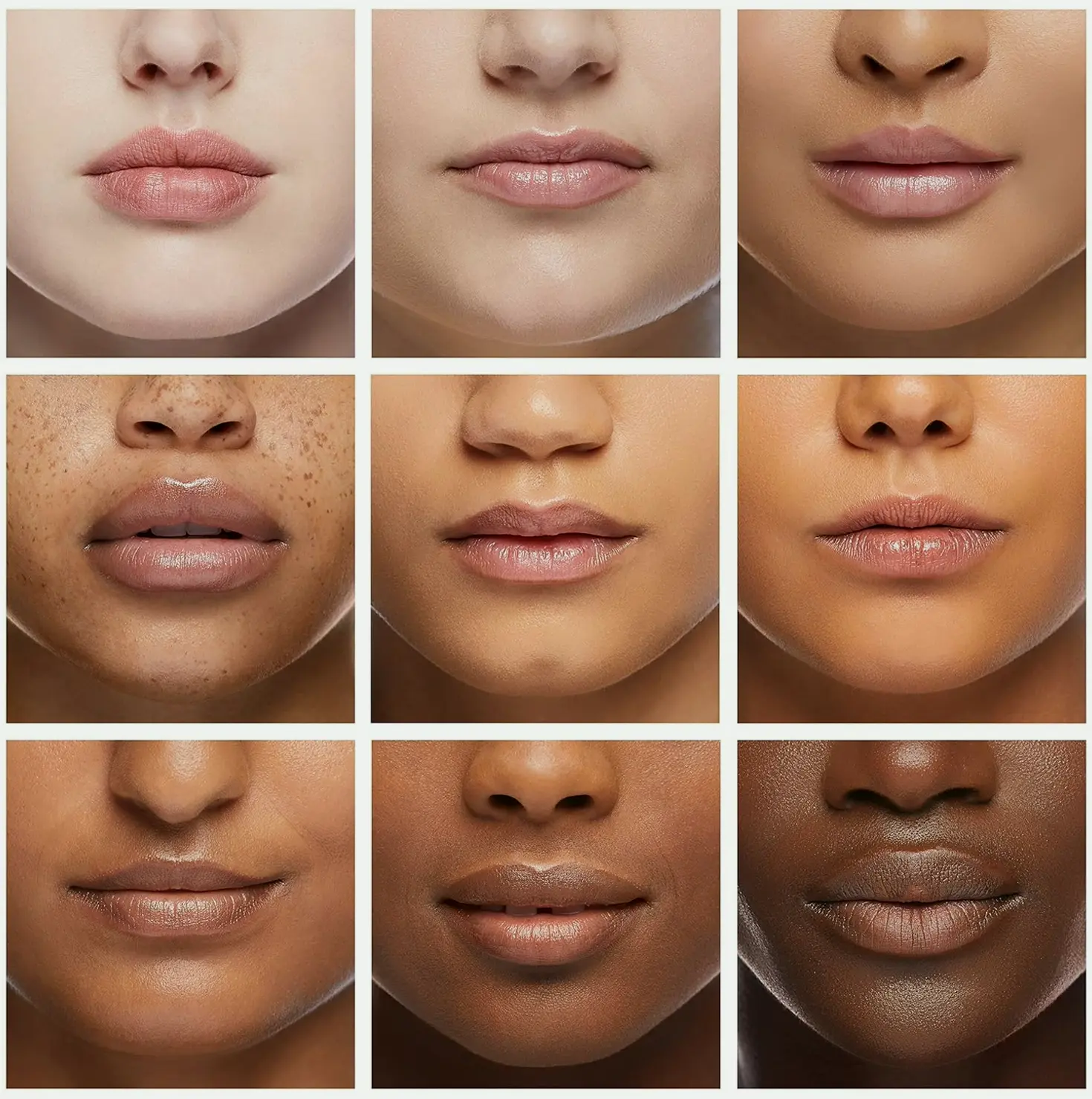 Organic Certified Lip Care Set - 6 Flavors - 100% Natural Hydration for Chapped & Dehydrated Lips