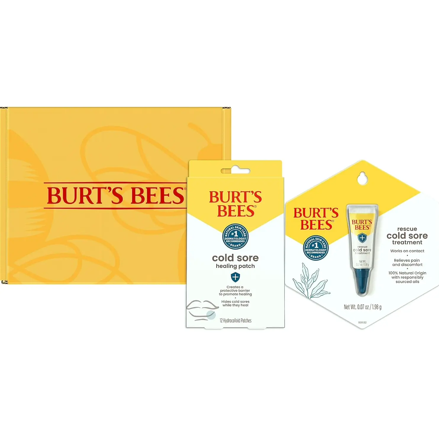 Burt's Bees Cold Sore Healing Kit