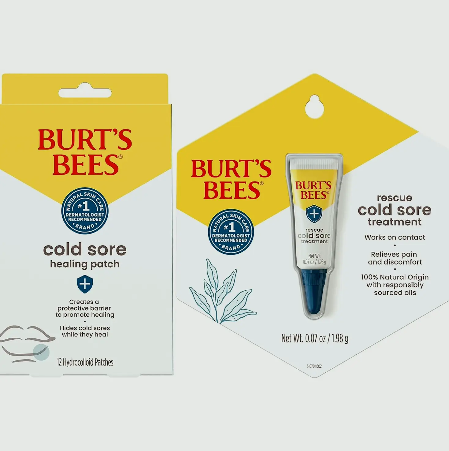 Burt's Bees Cold Sore Healing Kit
