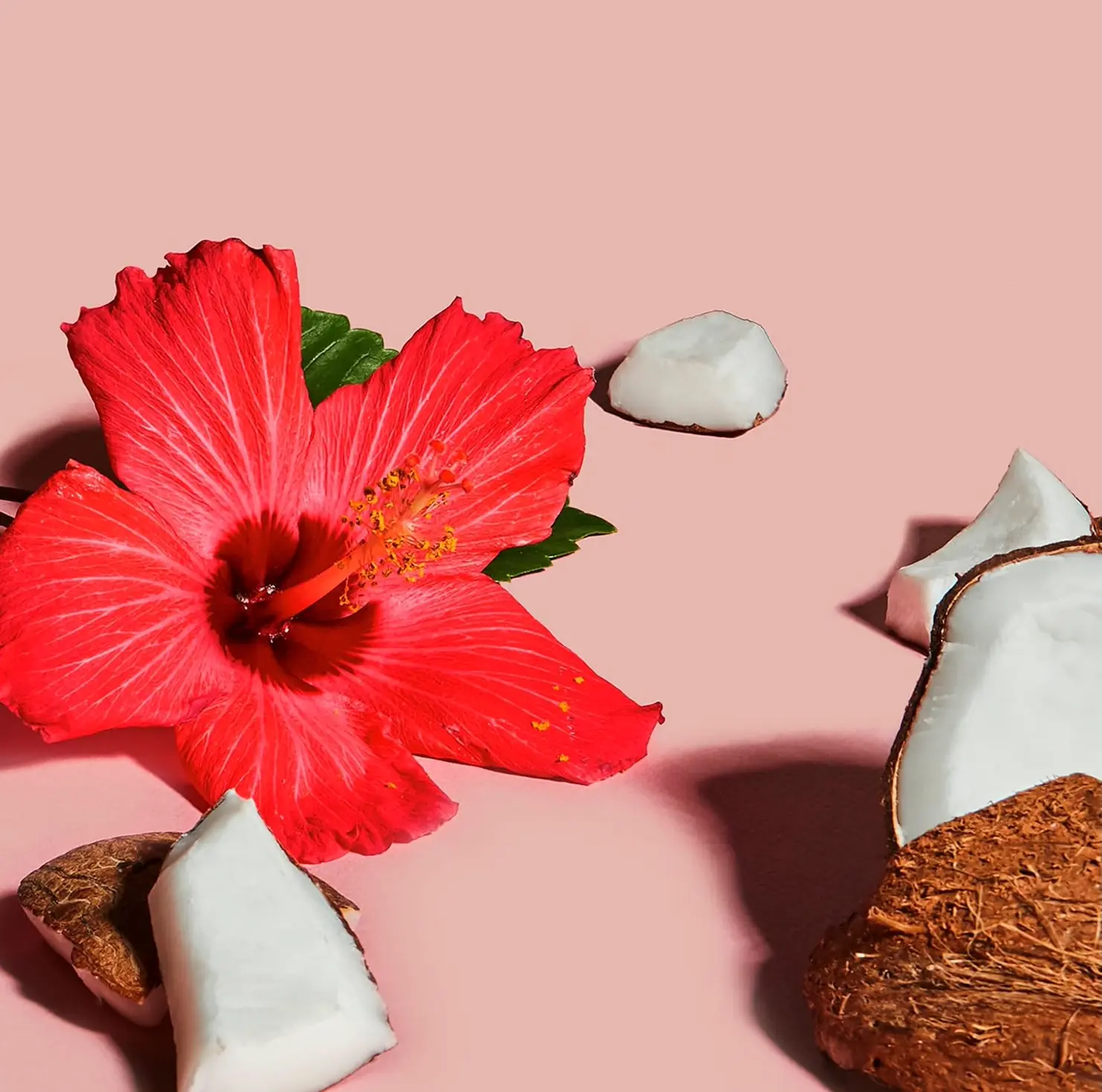 Shea Moisture Coconut Skin Exfoliator 12oz